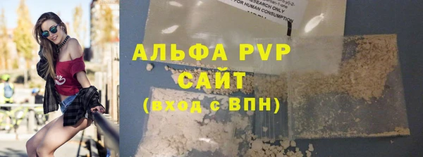 шишки Белоозёрский