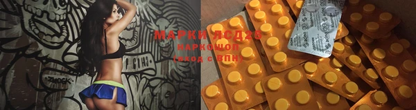 шишки Белоозёрский