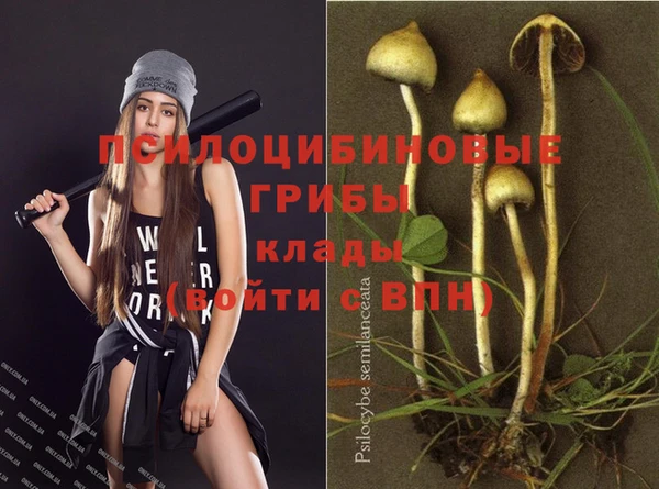 МДМА Беломорск