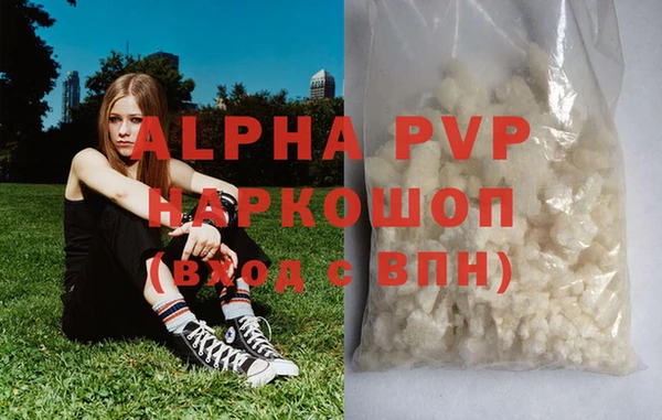крисы Ростов