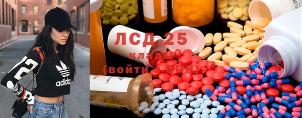 крисы Ростов