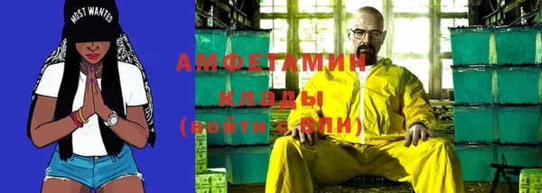 шишки Белоозёрский