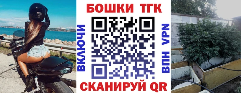 наркотики  Электрогорск  Бошки Шишки SATIVA & INDICA 